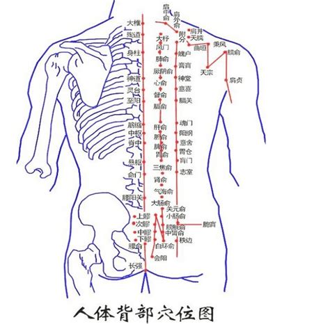 背部中間有痣|有痣在背，长寿富贵！背上各部位痣相命理详解